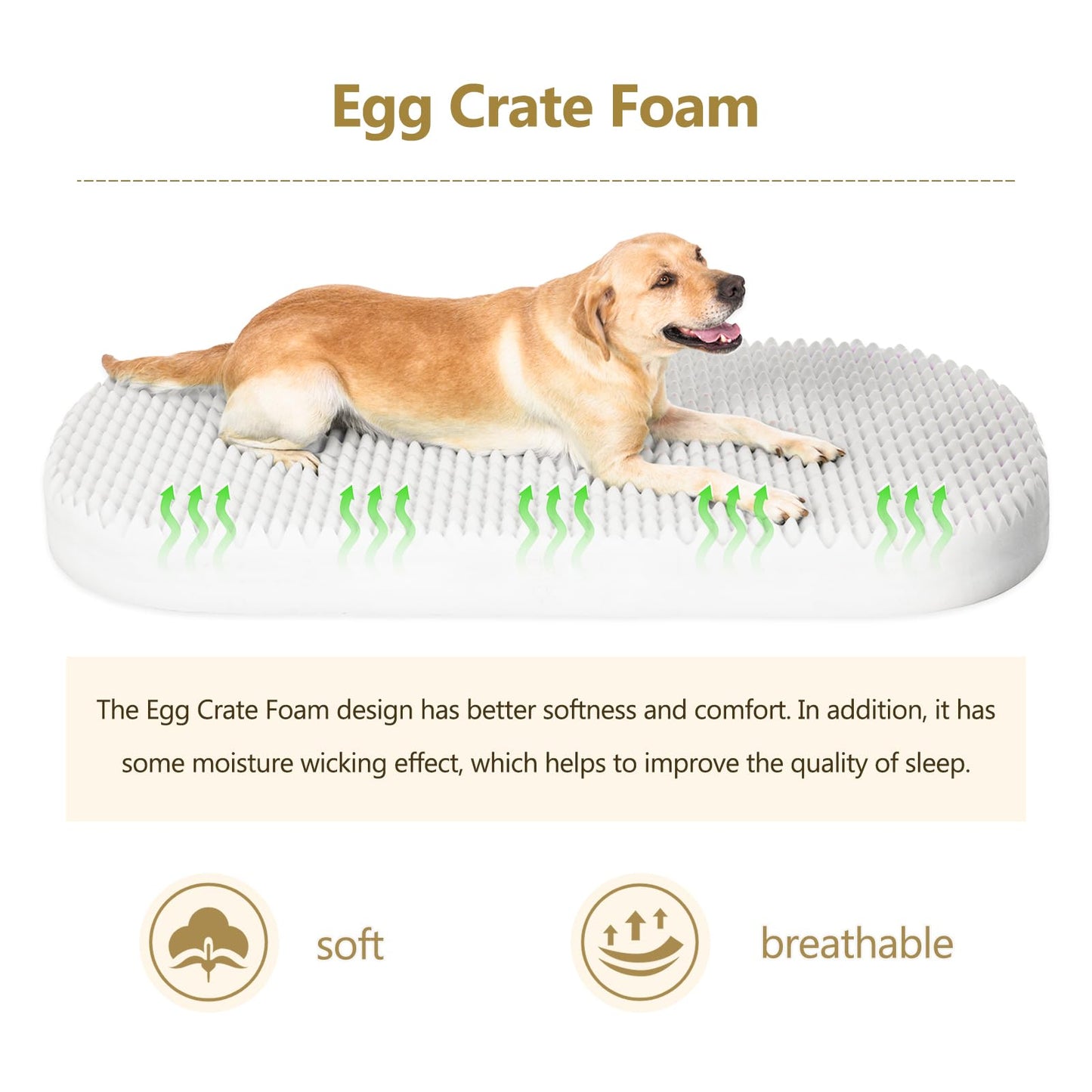 Trelsanopaws Human Dog Bed for Adults - Soft Memory Foam with Washable Cover & Side Pocket (180 x 115 x 45 cm)