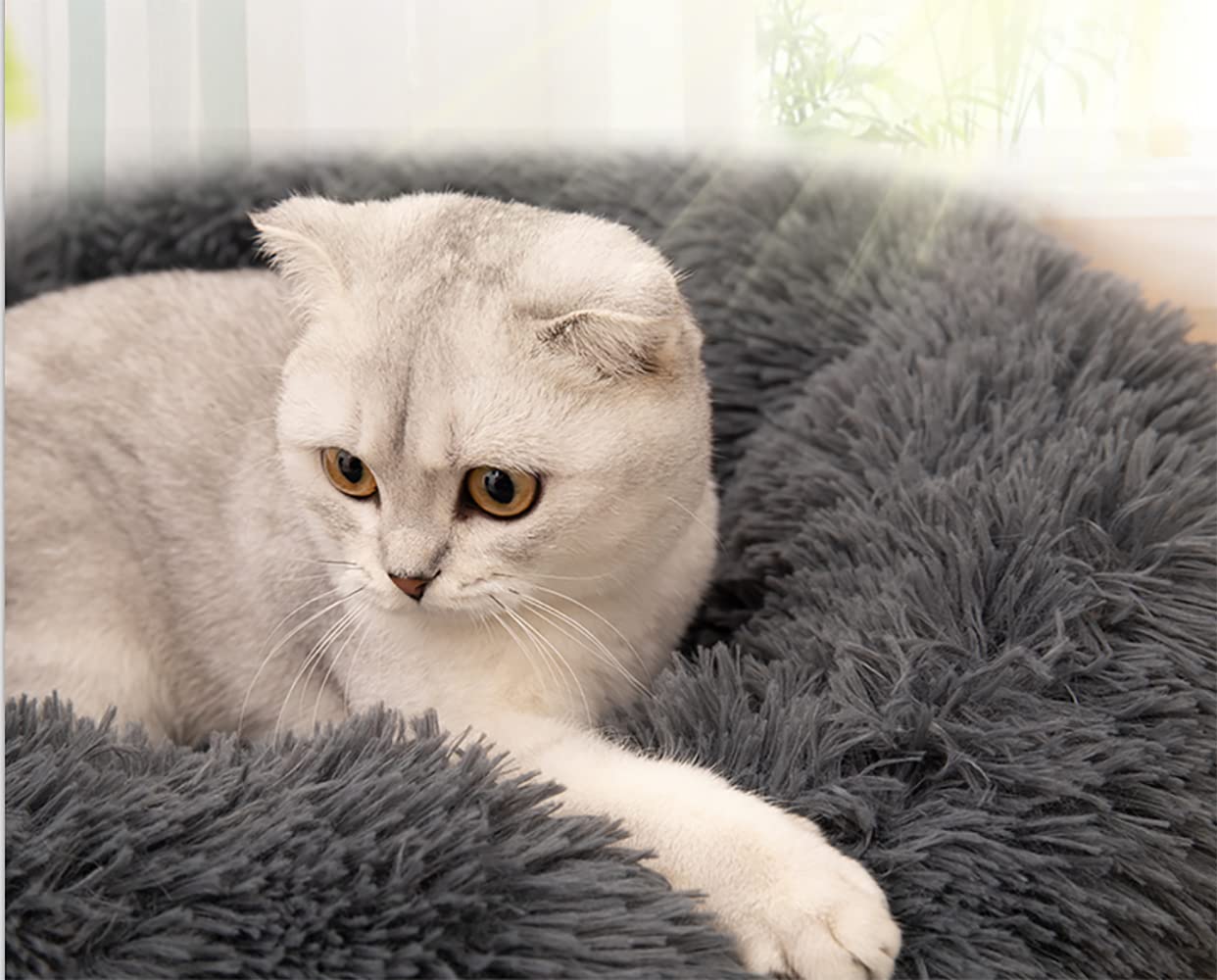 Trelsanopaws Plush Donut Cat & Dog Bed - Soft Fluffy Bed for Small Pets (Up to 3kg)