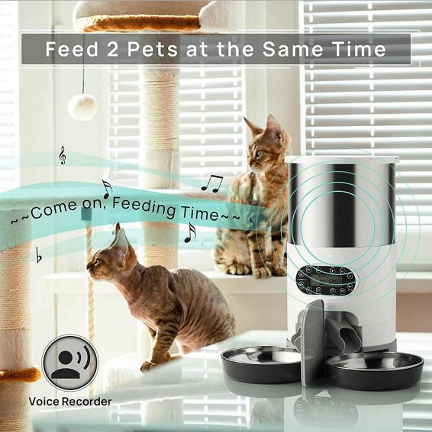 6.5L Automatic Cat Feeder for Multiple Cats, Cat Dry Food Dispenser with Voice Record, Timed Cat Feeder Pet Feeder Dog Food Dispenser Automatic Feeder for Cats Dogs,2 Bowls