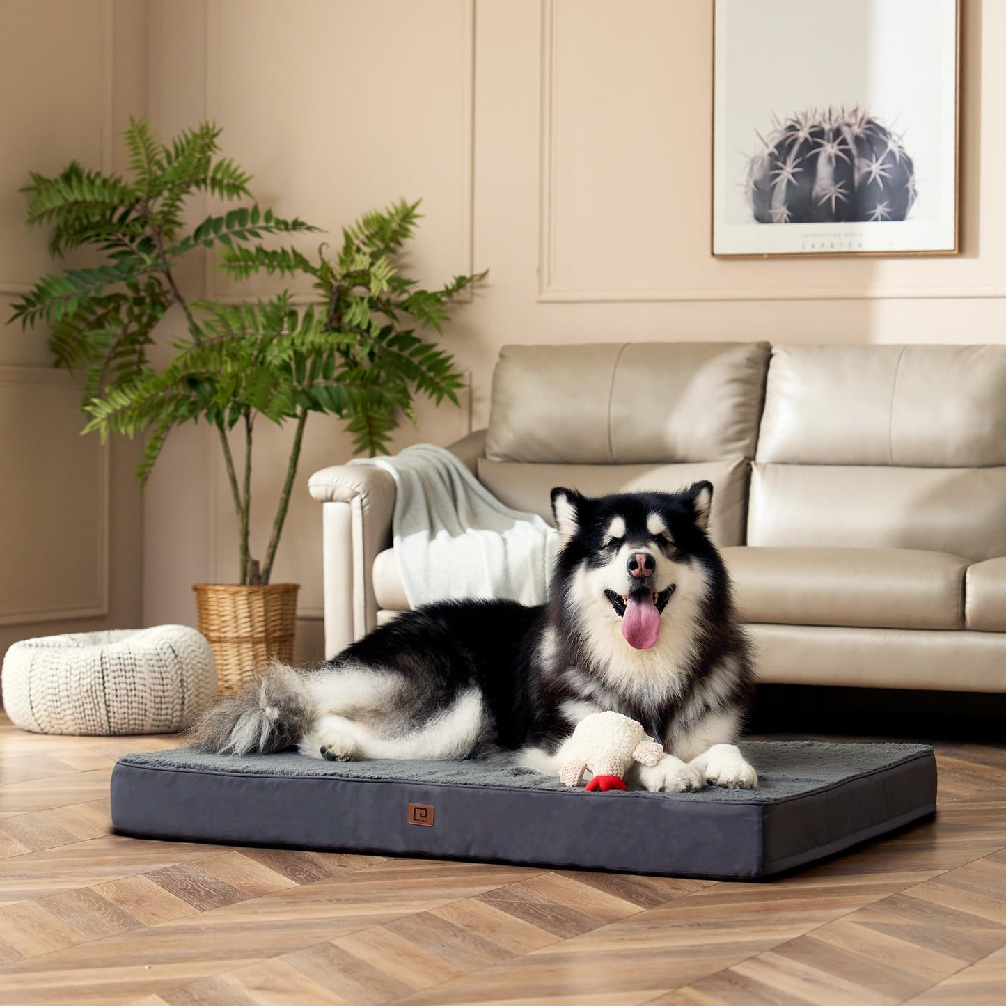 Trelsanopaws Large Orthopedic Dog Bed - Mattress with Removable Washable Cover (91 x 68 x 9 cm, Grey)