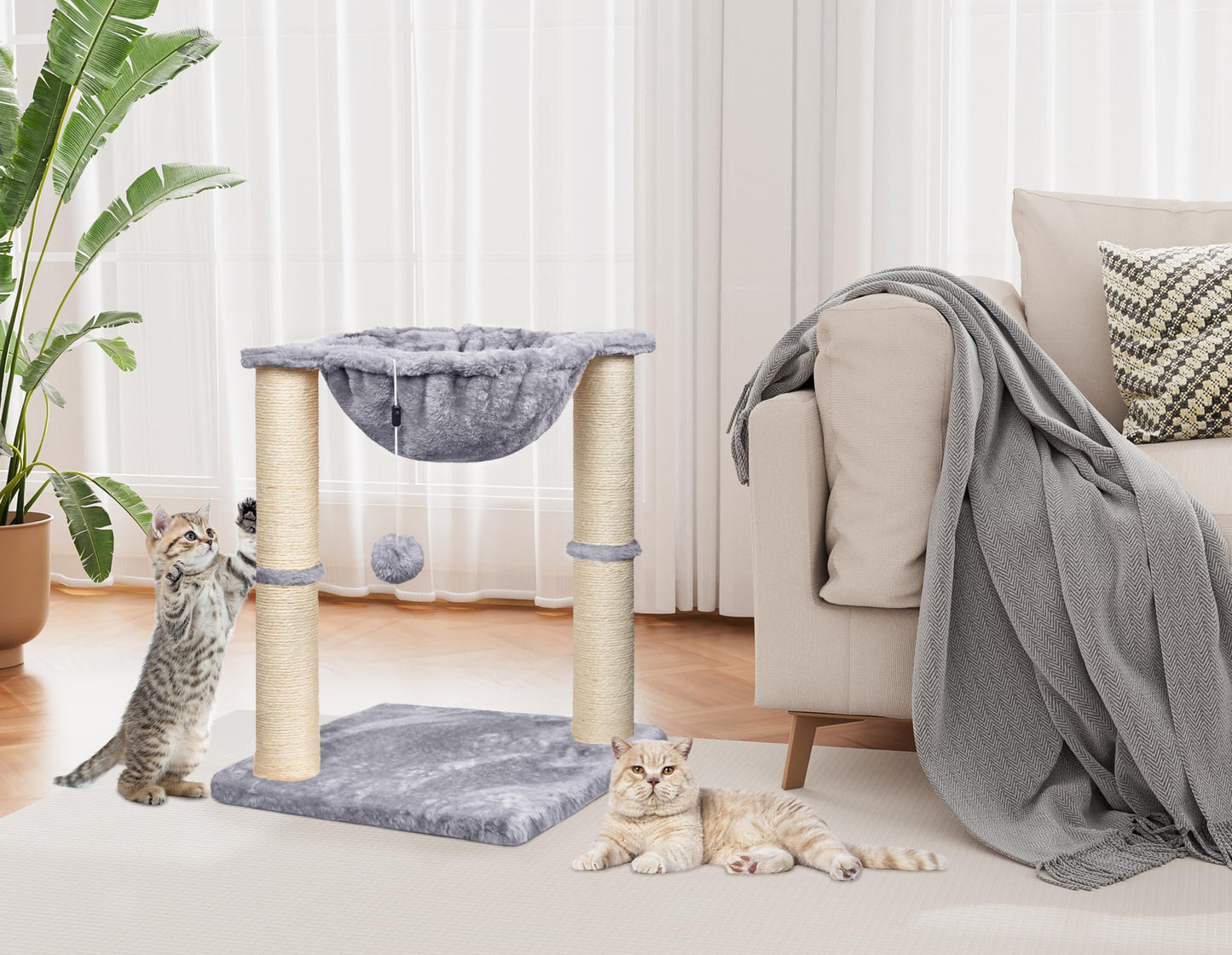 Trelsanopaws Cat Scratching Post - 50 cm Cat Tree with Hammock & Hanging Toy for Indoor Cats (Grey)