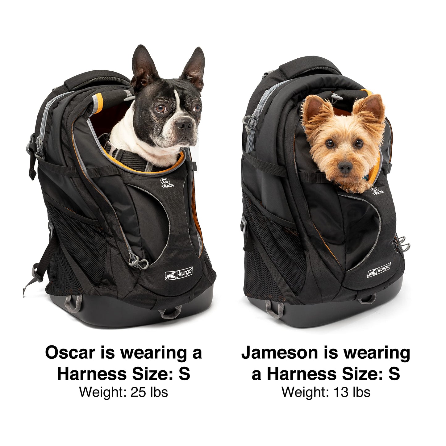 Kurgo G-Train K9 Pack, Carrier Backpack for Small Dogs and Cats, Ideal for Hiking or Travel, Waterproof Bottom, Black