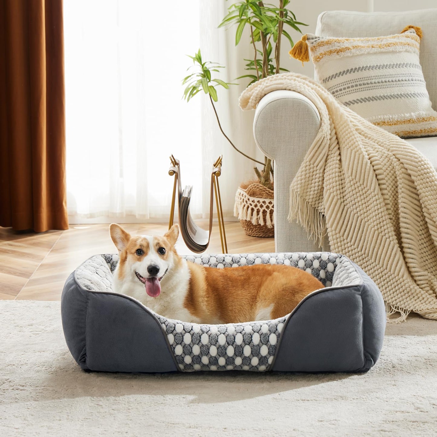 Trelsanopaws Extra Large Dog Bed - Washable Sofa Bed for XXL Dogs, Prevents Bone Diseases (90 x 65 x 23 cm)