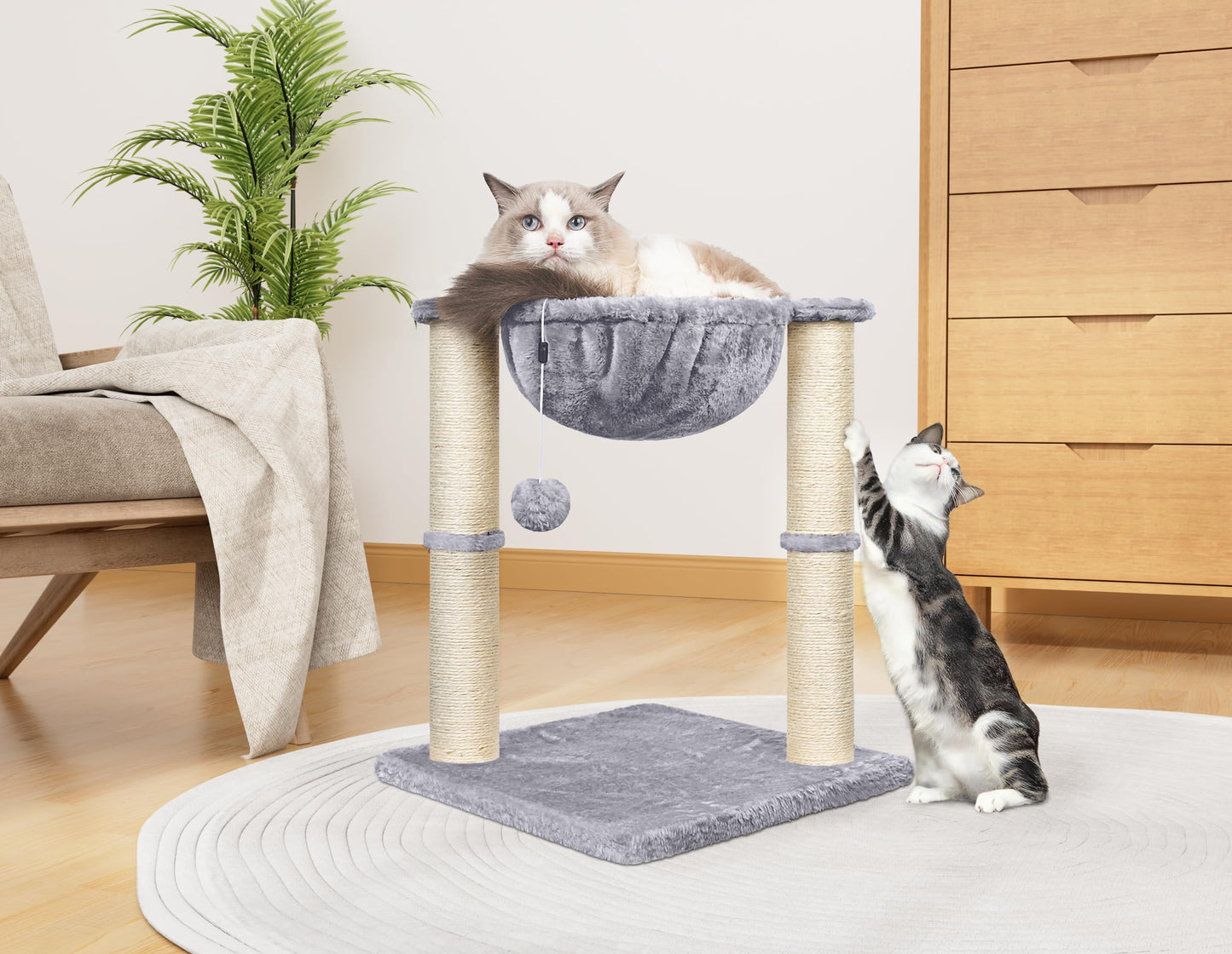 Trelsanopaws Cat Scratching Post - 50 cm Cat Tree with Hammock & Hanging Toy for Indoor Cats (Grey)