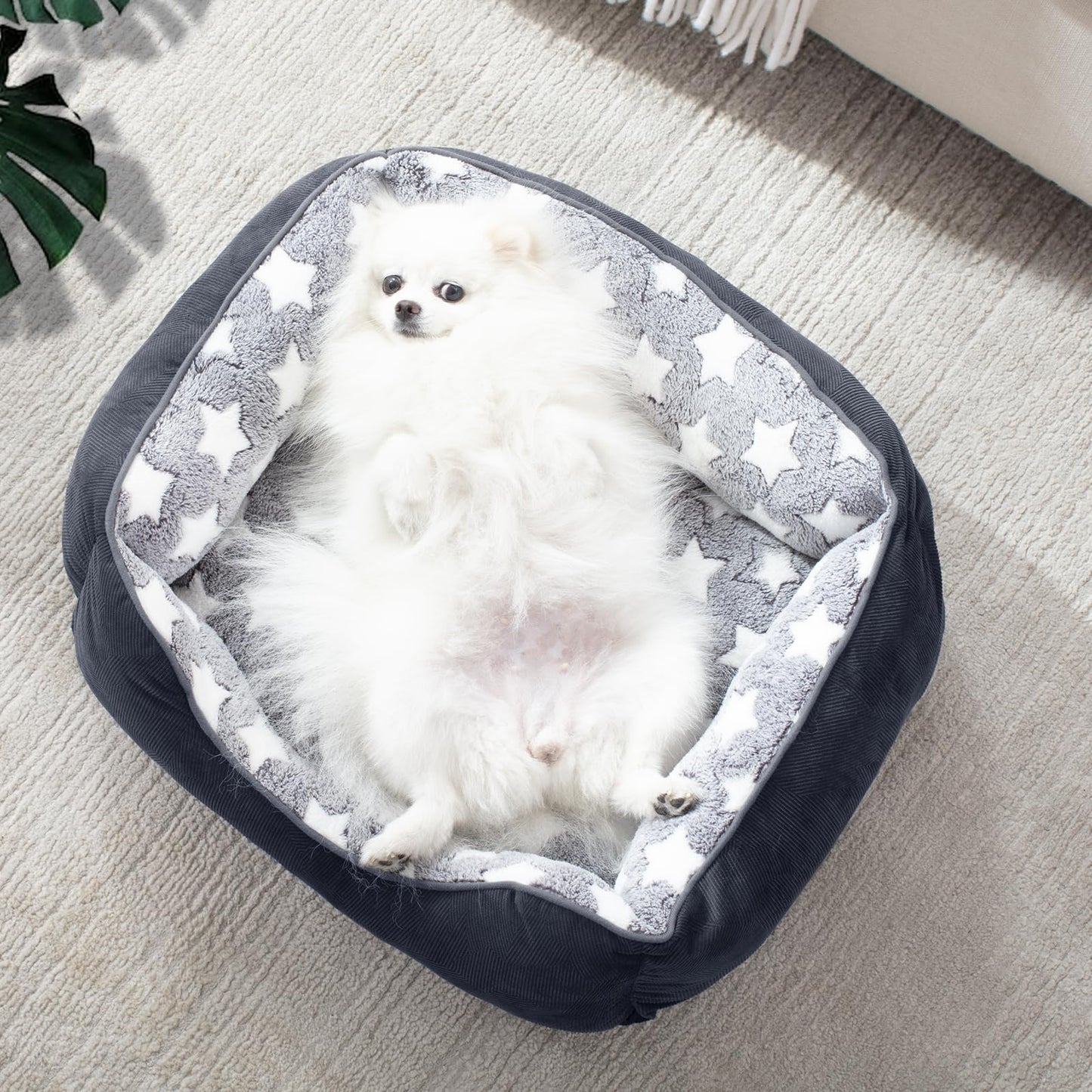 Trelsanopaws Medium Dog Bed - Super Soft Washable Pet Bed (64 x 53 cm, Grey) for Small to Large Dogs