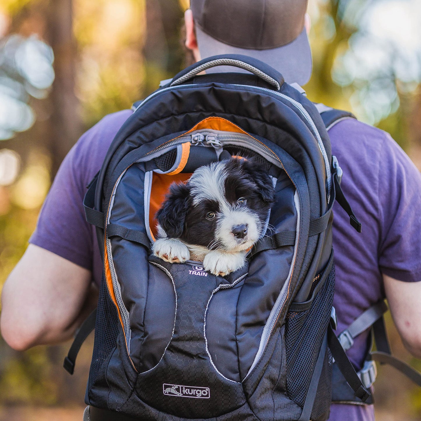 Kurgo G-Train K9 Pack, Carrier Backpack for Small Dogs and Cats, Ideal for Hiking or Travel, Waterproof Bottom, Black