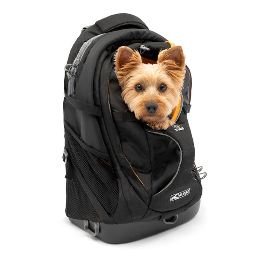 Kurgo G-Train K9 Pack, Carrier Backpack for Small Dogs and Cats, Ideal for Hiking or Travel, Waterproof Bottom, Black